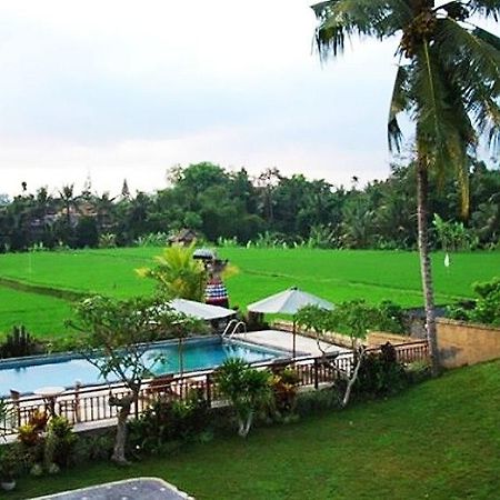 Nyoman Karsa Bungalow Ubud  Exterior photo
